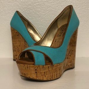Robins Egg Blue Wedges